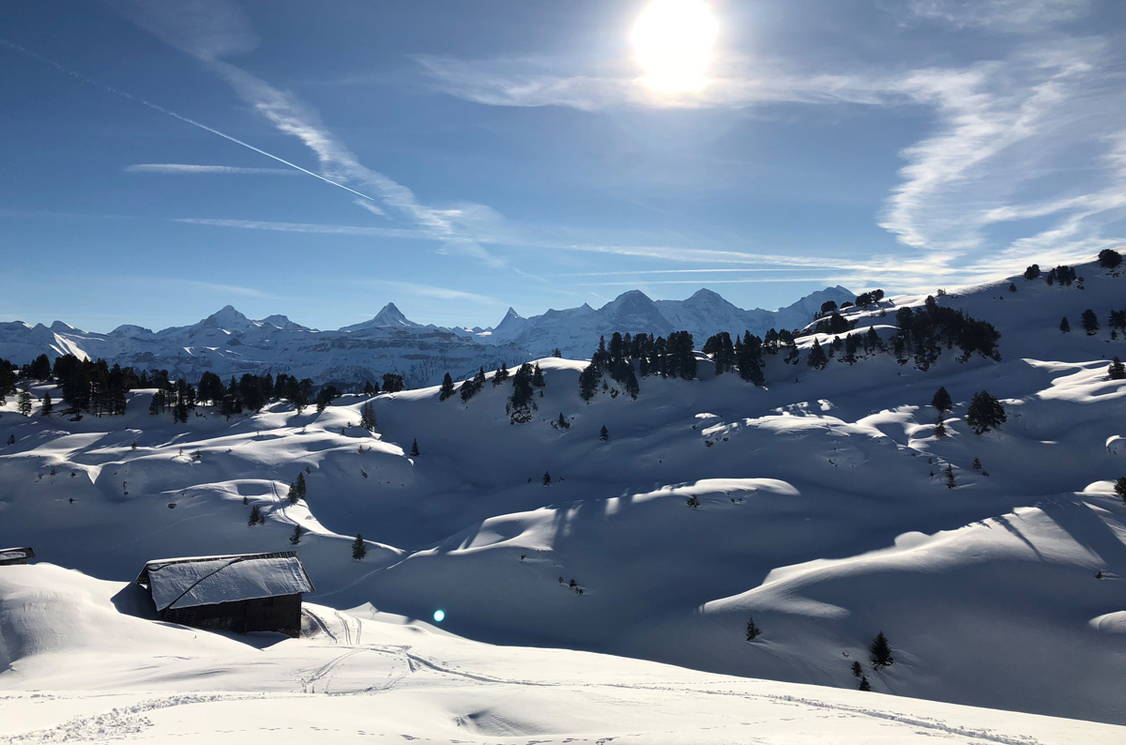 Zoom: Schneeschuhtouren Berner Oberland