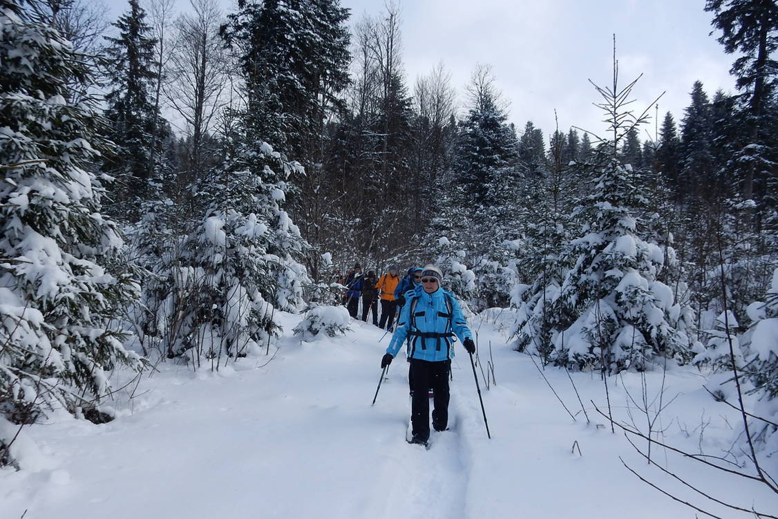 Zoom: Schneeschuhtouren Balcon du Jura