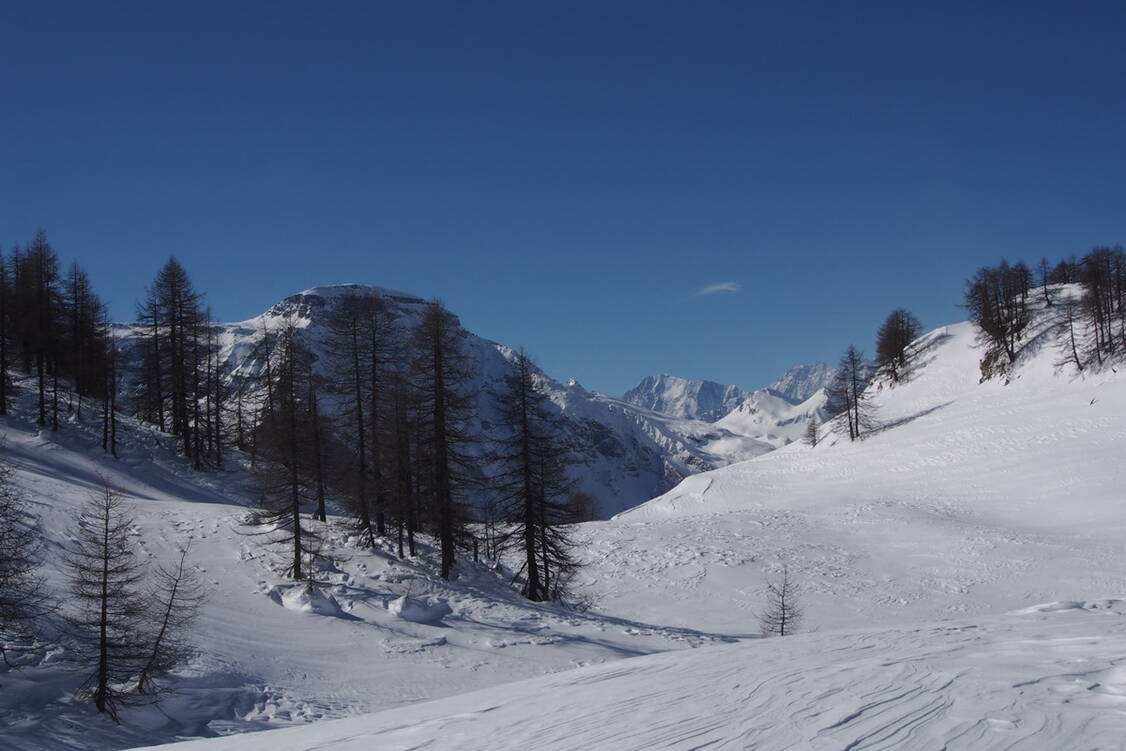 Zoom: Schneeschuh-Wandern Alpe Devero