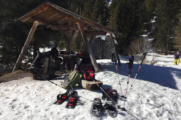 Zoom: Büro-Team von berg-welt auf Schneeschuhen im Diemtigtal