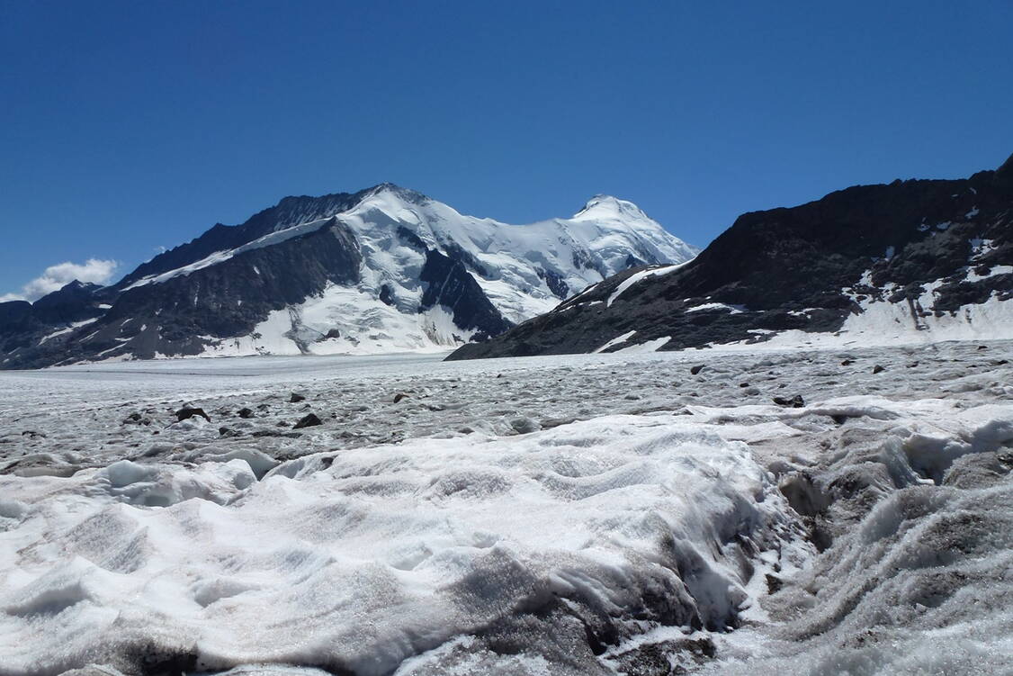 Zoom: Gletscher-Trekking Junfrau-Aletsch