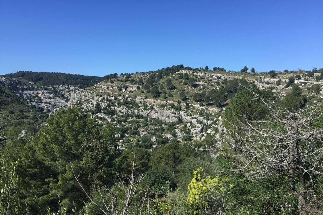 Zoom: Wanderreise Sizilien - Ätna, Natur 