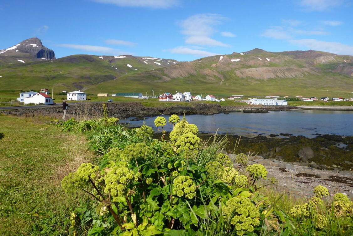 Zoom: Island Wanderreise