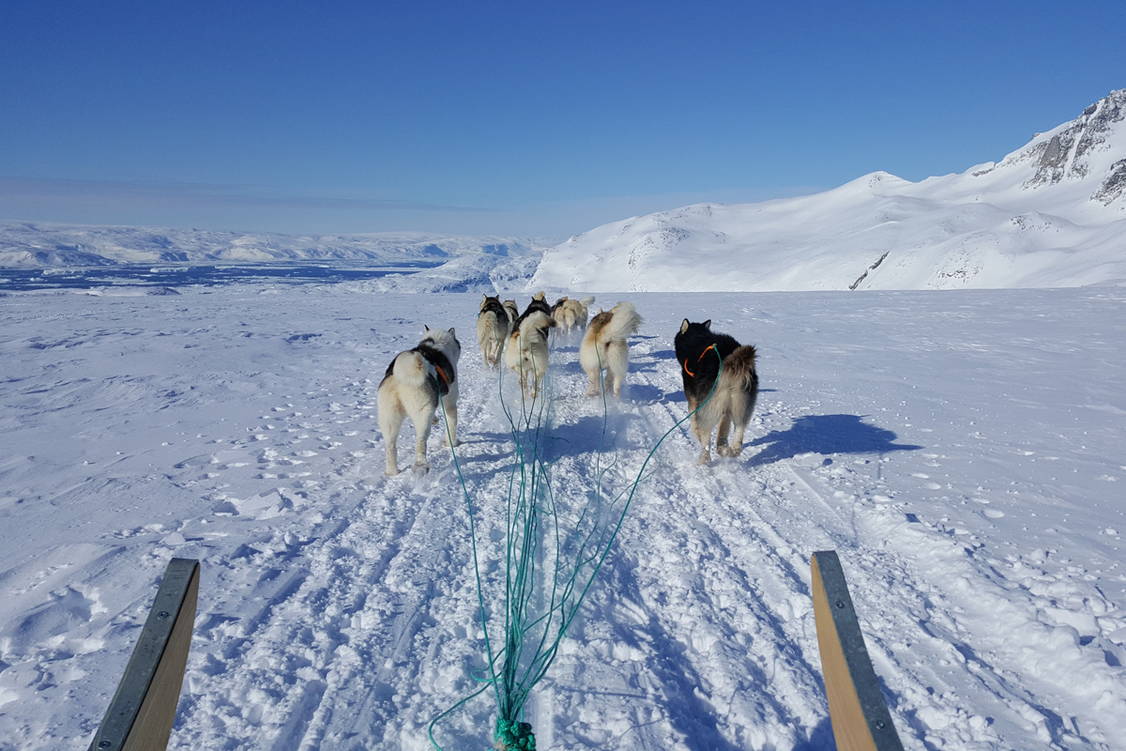 Zoom: Grönland Skitouren