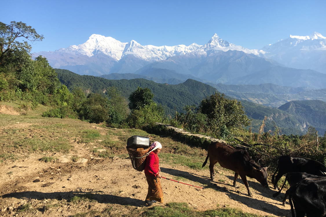 Zoom: Annapurna Wanderreise