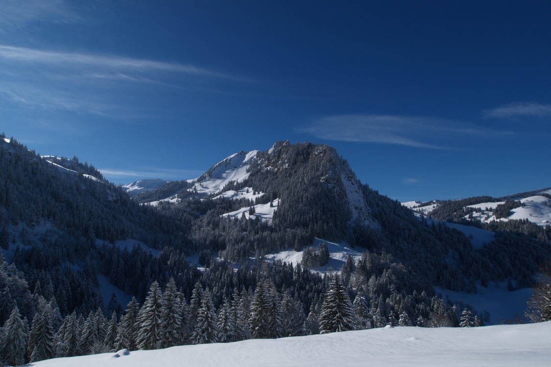 Zoom: Schneeschuhtouren Schwarzsee