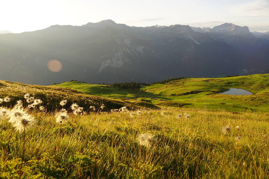 Zoom: Naturpark Beverin Lohn