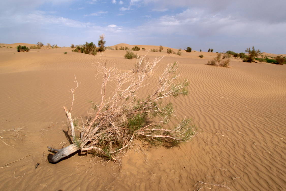 Zoom: Iran Wanderreise