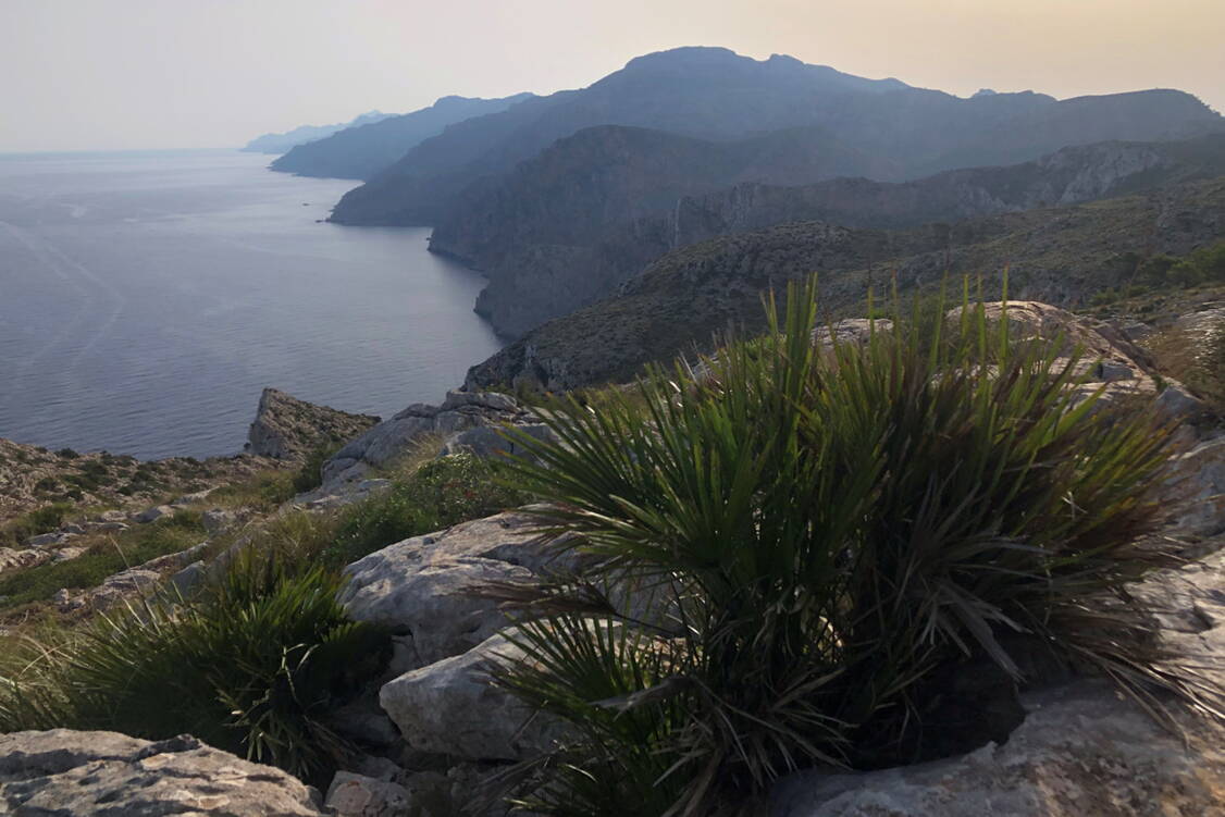 Zoom: Mallorca Wanderreise Puig de ses basses