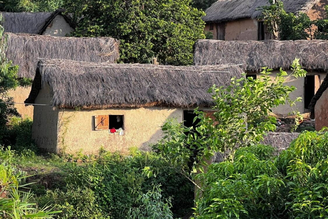 Zoom: Wanderreise Madagaskar