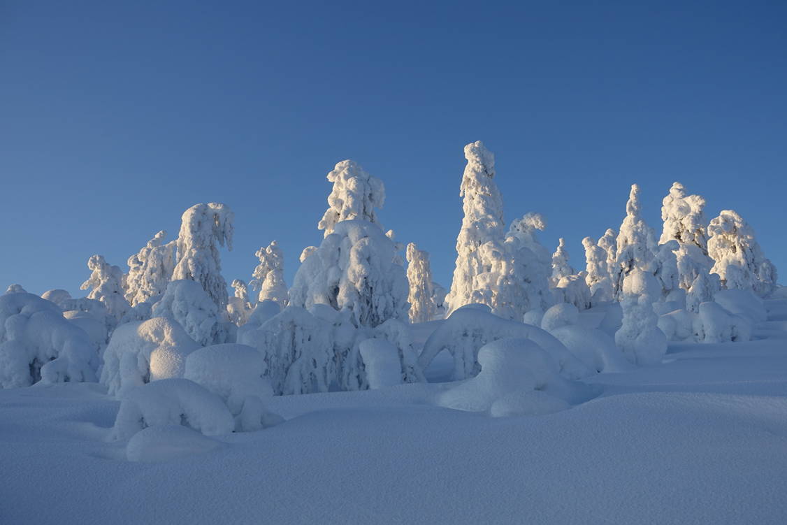 Zoom: Schneeschuhtouren Finnisch Lappland Pallas Tunturi Nationalpark03.jpg