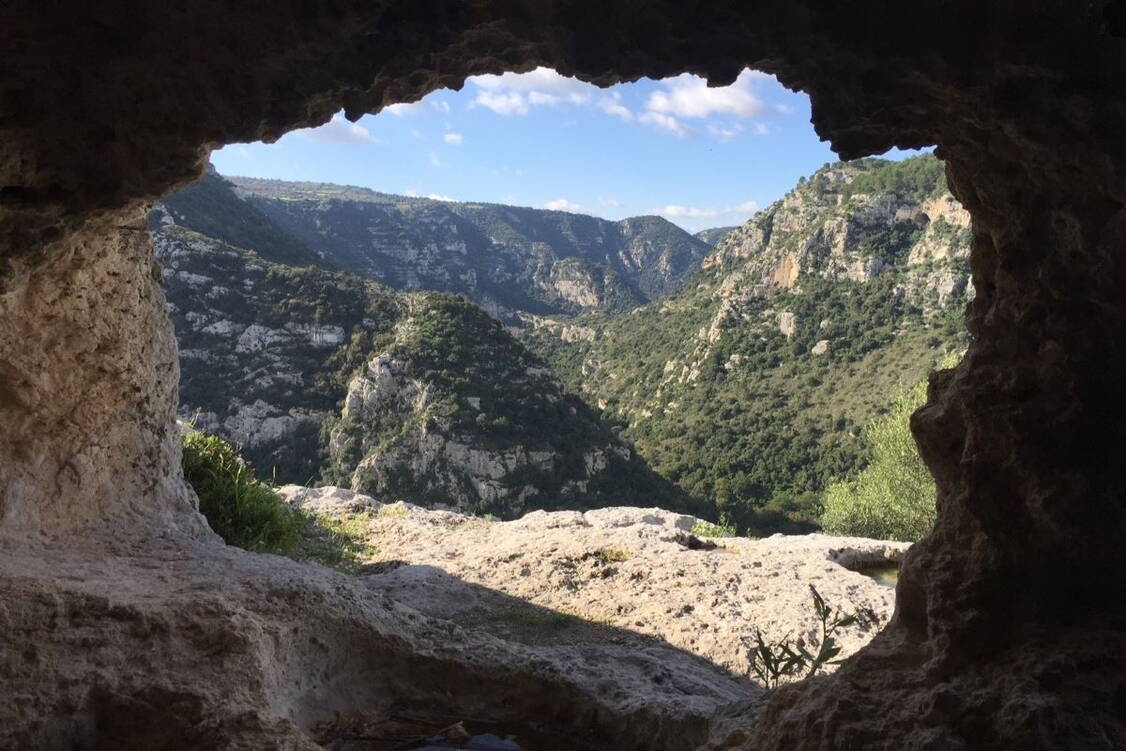 Zoom: Wanderreise Sizilien - Ätna, Natur 