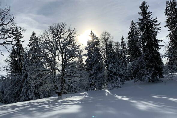 Schneeschuhtouren Haute Route Jura I