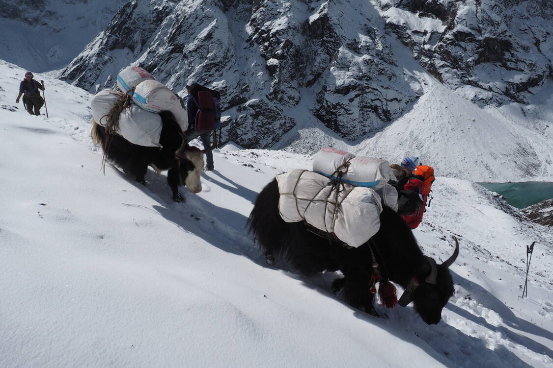 Zoom: a Trekking mit Lobuche Peakjpg