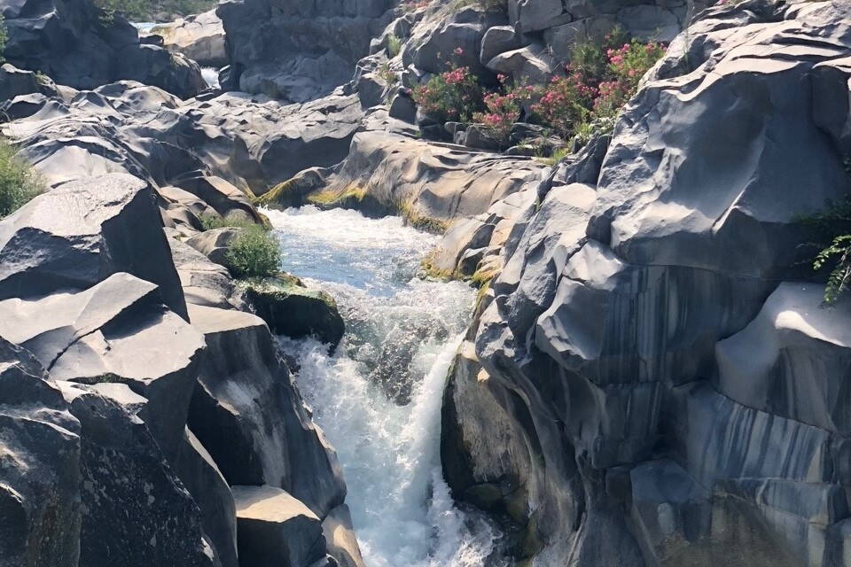 Wanderreise Sizilien - Ätna, Natur 