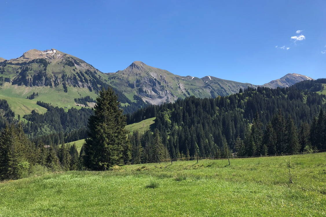 Zoom: Panorama Weitwanderung Richtung Habkern - Beatenberg