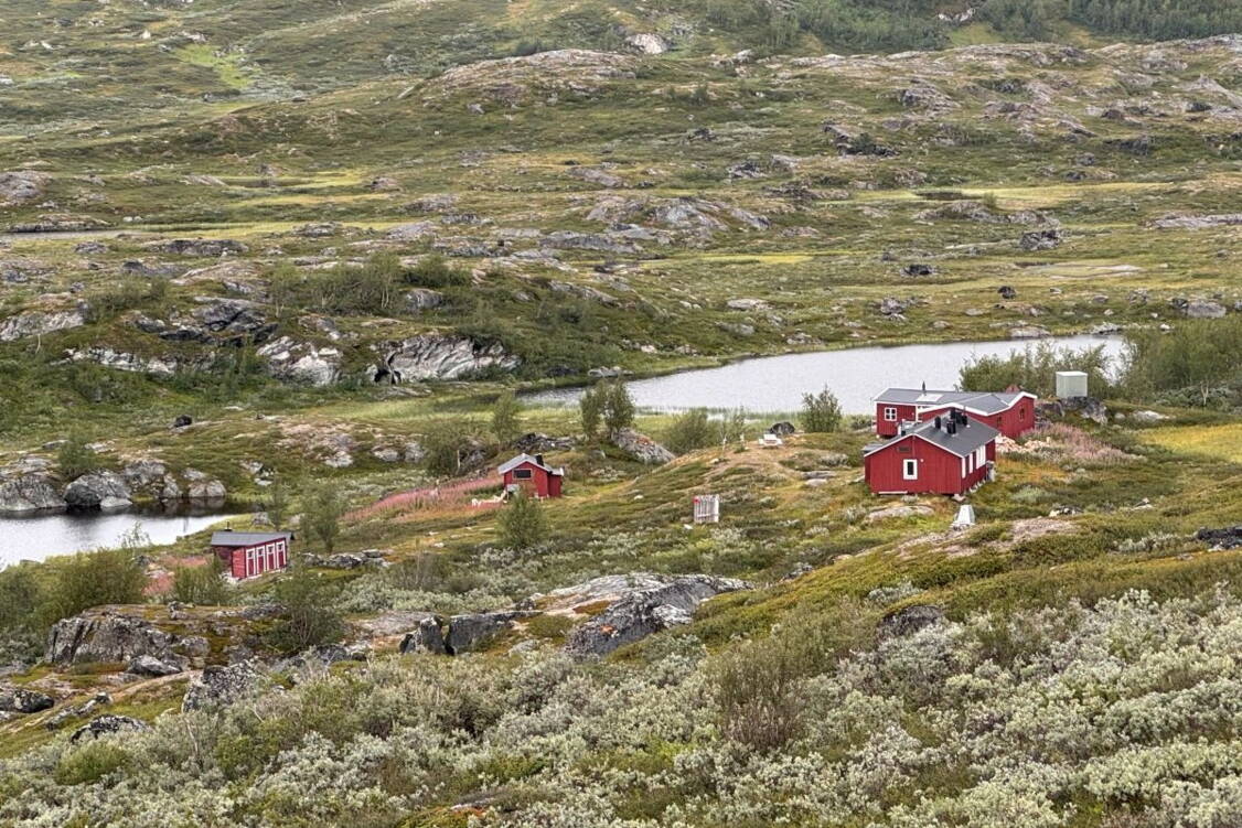 Zoom: Schwedisch Lapplan Trekking