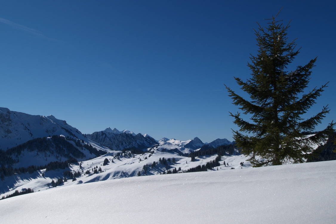 Zoom: Schneeschuhtouren Schwarzsee