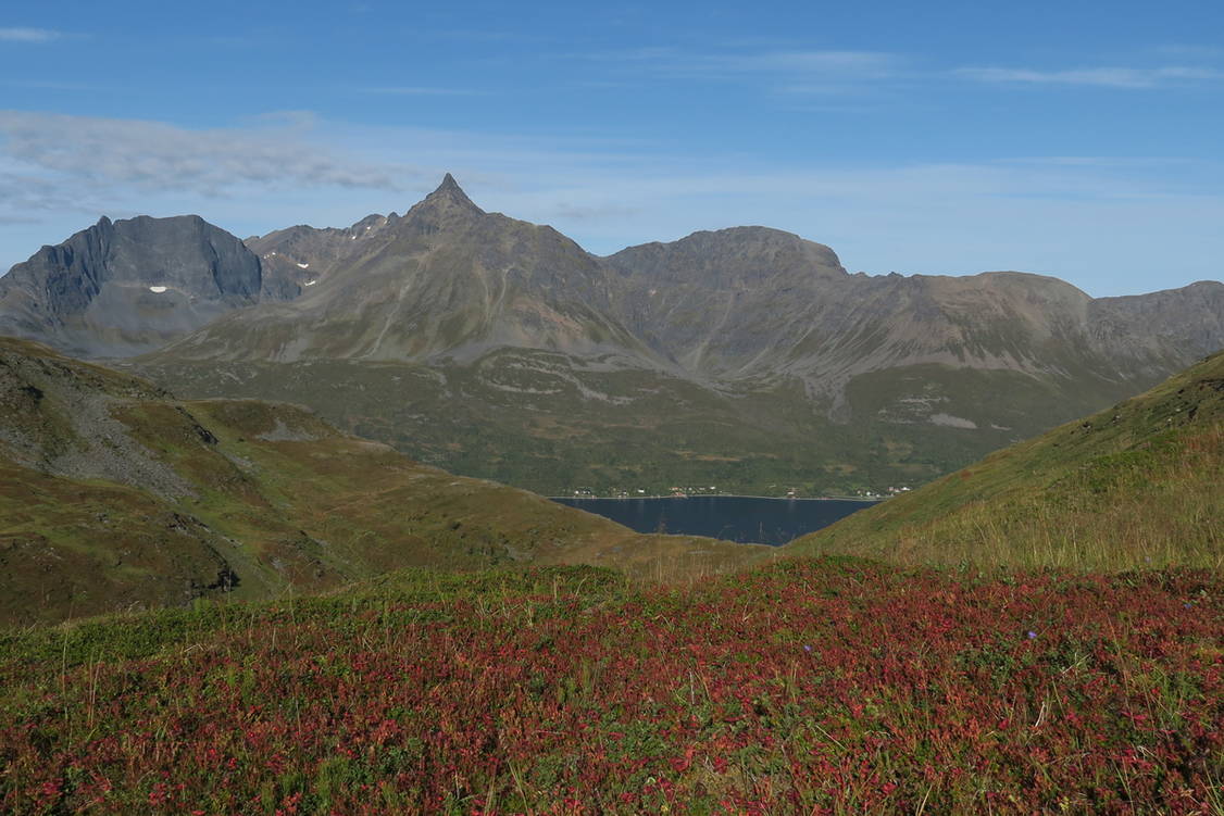 Zoom: Wanderreise Norwegisch Lappland