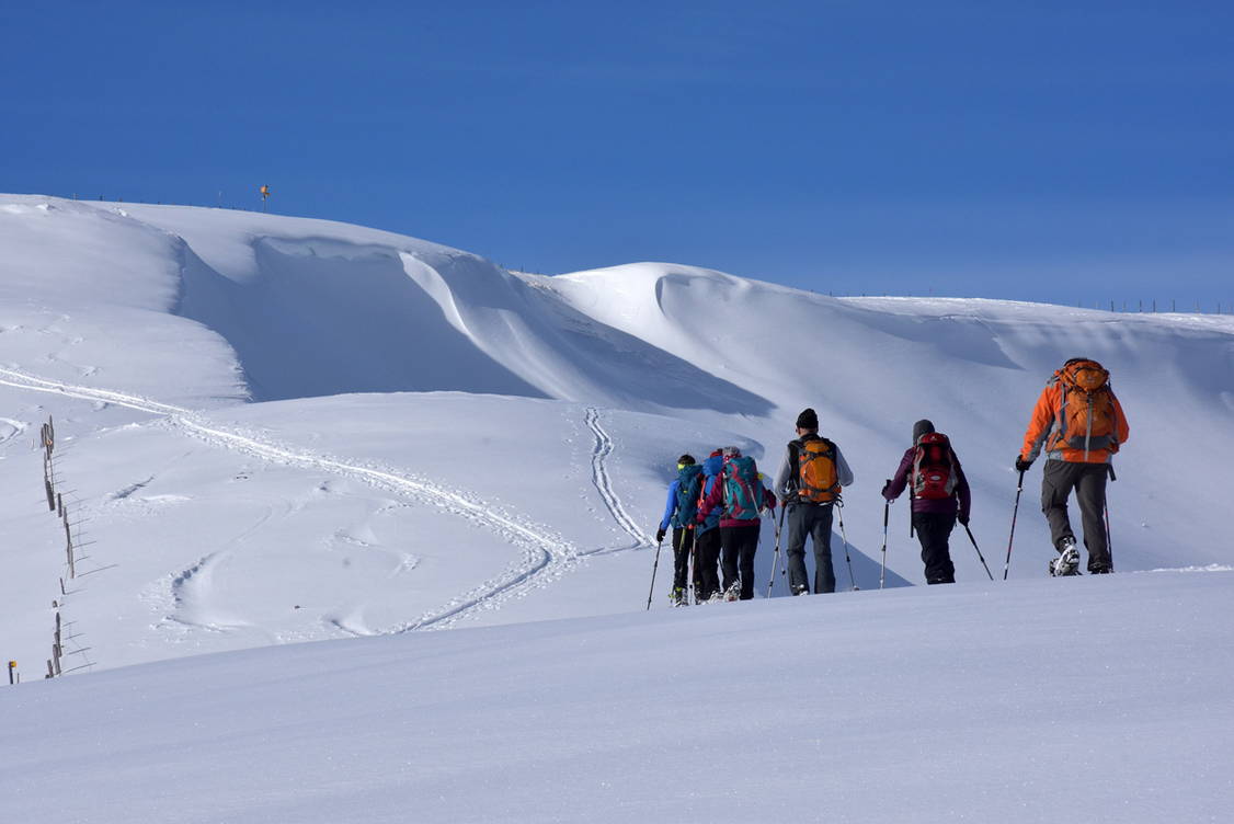 Zoom: Schneeschuhtouren Schwarzsee