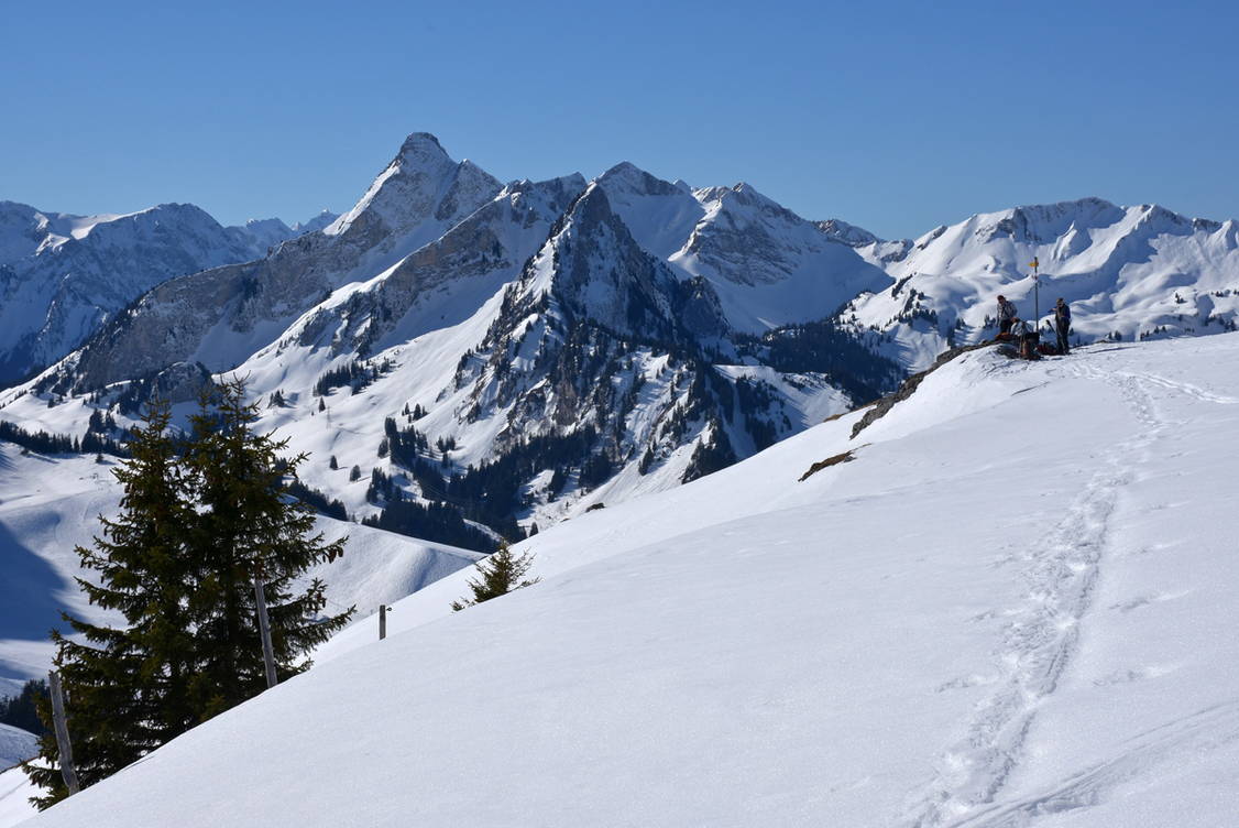 Zoom: Schneeschuhtouren Schwarzsee