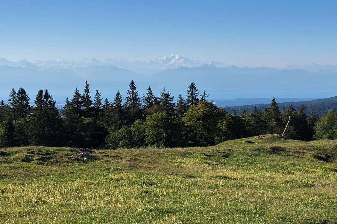 Zoom: Panorama-Weitwanderung Jura II Mont Blanc vom  Dent de Vaulion