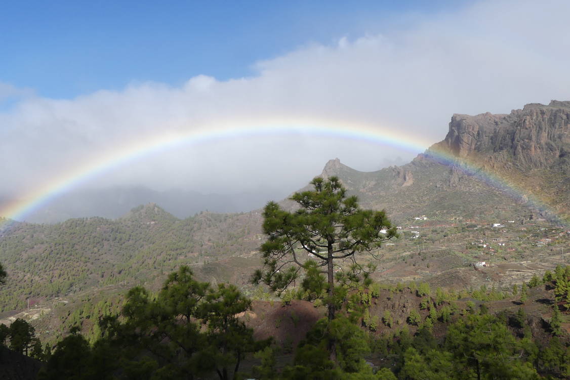 Zoom: Wanderreise Gran Canaria