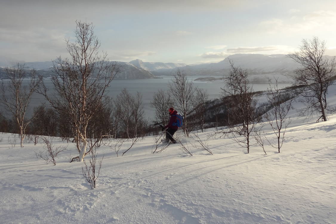 Zoom: Norwegisch Lappland Schneeschuhtourenjpg