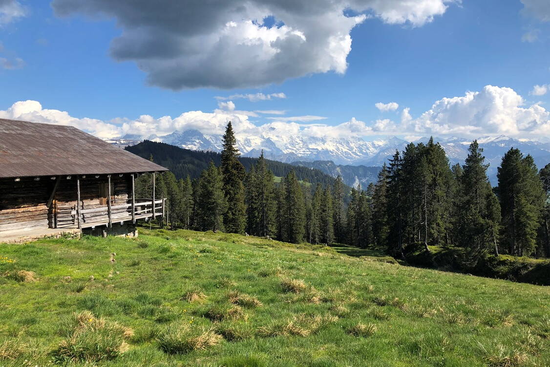 Zoom: Panorama Weitwanderung Alp Berner Oberland