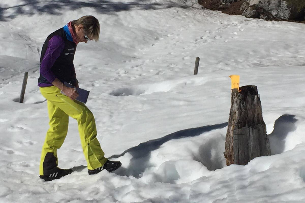 Büro-Team von berg-welt auf Schneeschuhen im Diemtigtal