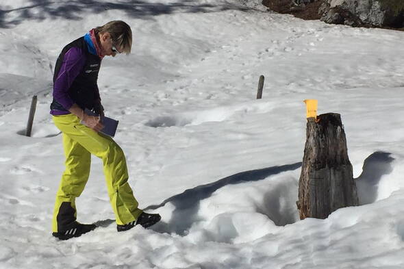 Zoom: Büro-Team von berg-welt auf Schneeschuhen im Diemtigtal