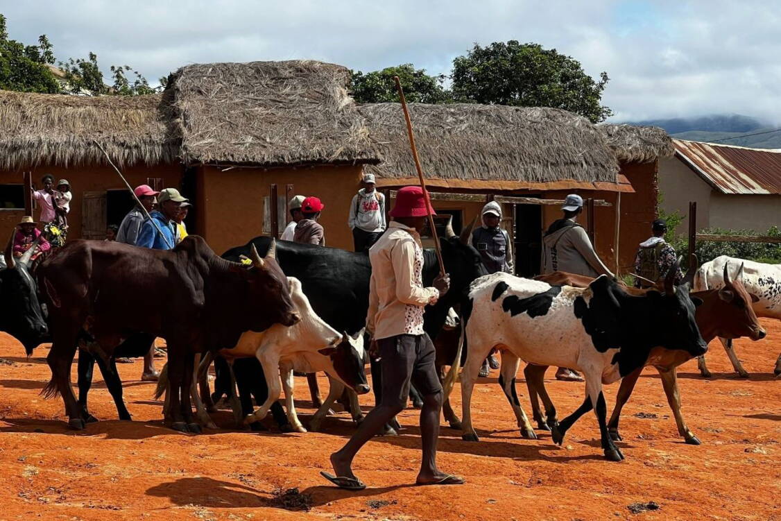 Zoom: Wanderreise Madagaskar