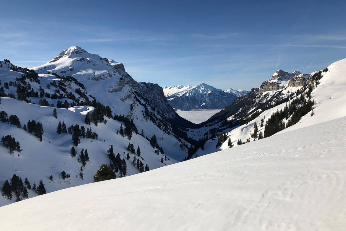 Zoom: Schneeschuhtouren Berner Oberland