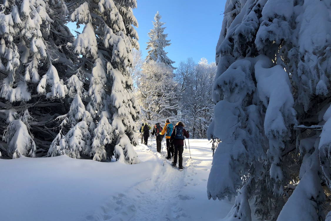 Zoom: Schneeschuhtouren Jura Haute Route II