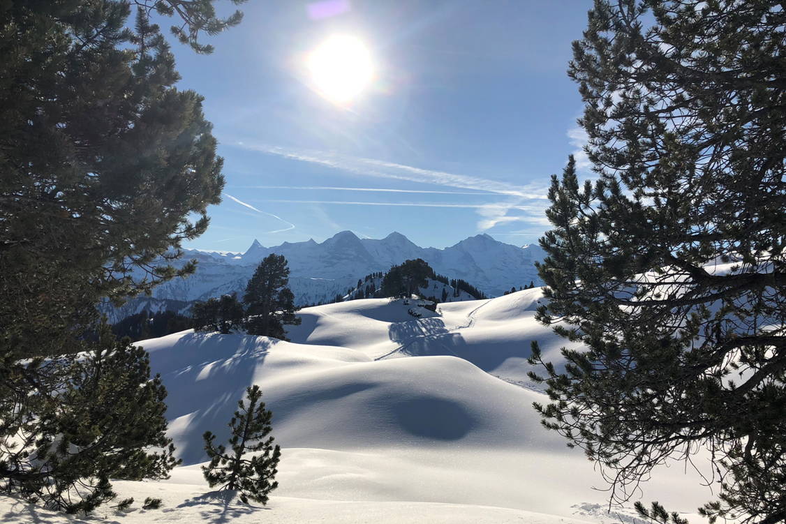 Zoom: Schneeschuhtouren Berner Oberland