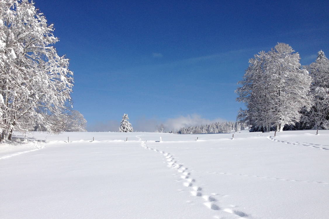 Zoom: Schneeschuhtouren Jura Haute Route I