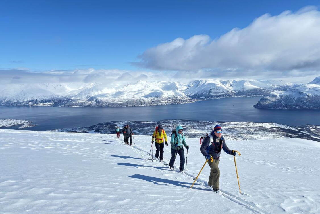 Lyngen Skitouren Zoom: Lyngen Skitouren