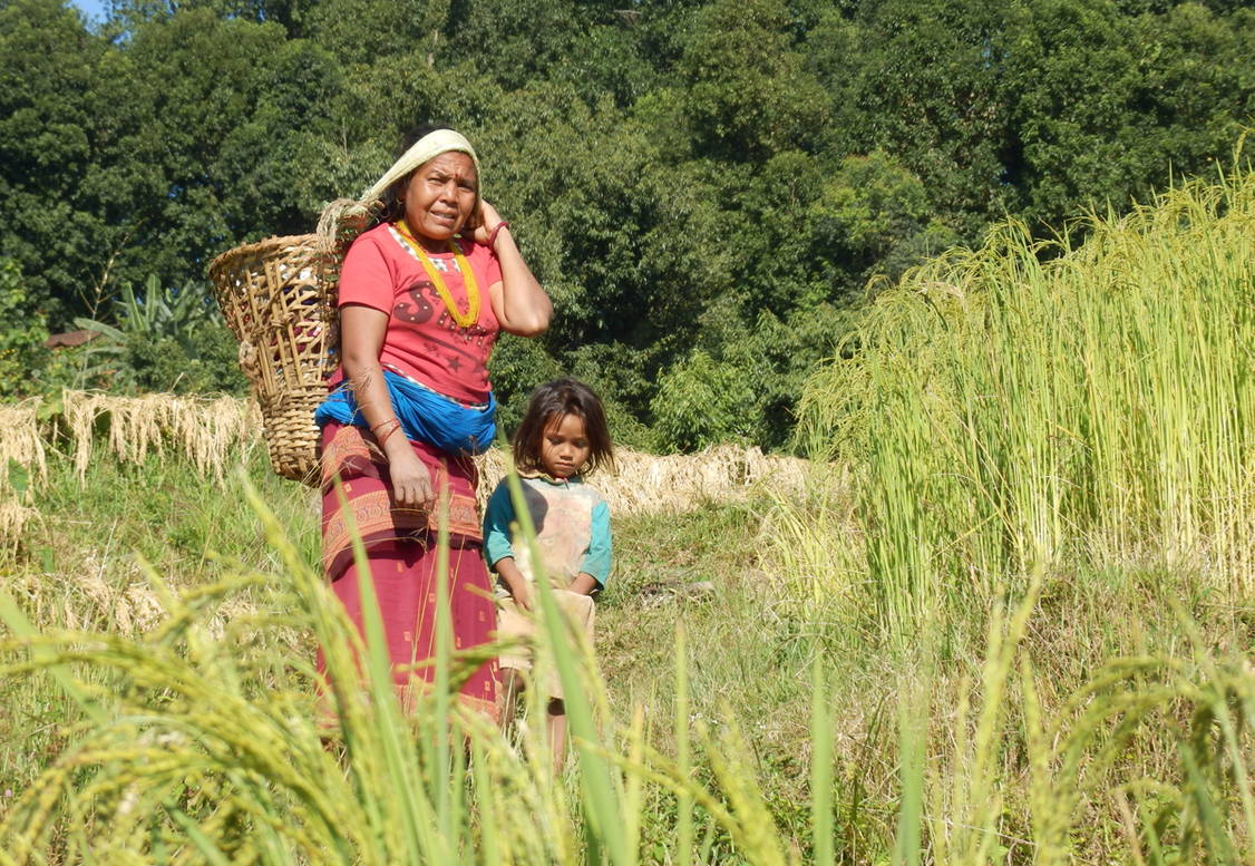 Zoom: Annapurna Wanderreise