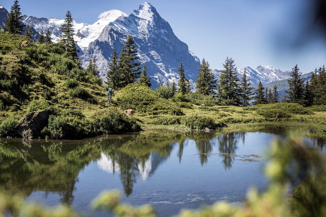 Zoom: Panorama Weitwanderung  Grindelwald
