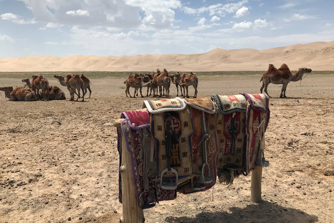 Zoom: Mongolei Trekkingreise