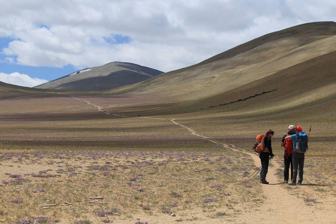 Zoom: Ladakh Trekkingreise mit Besteigung Dzo Jongo und Mentok Kangri