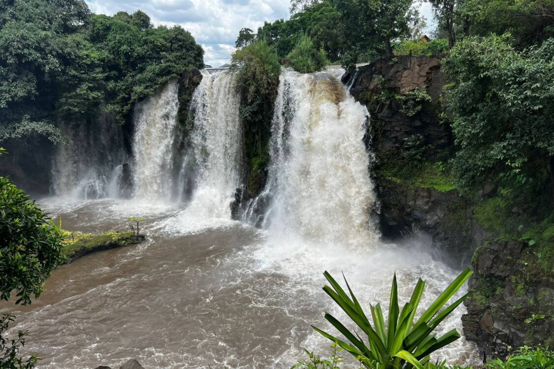 Zoom: Wanderreise Madagaskar