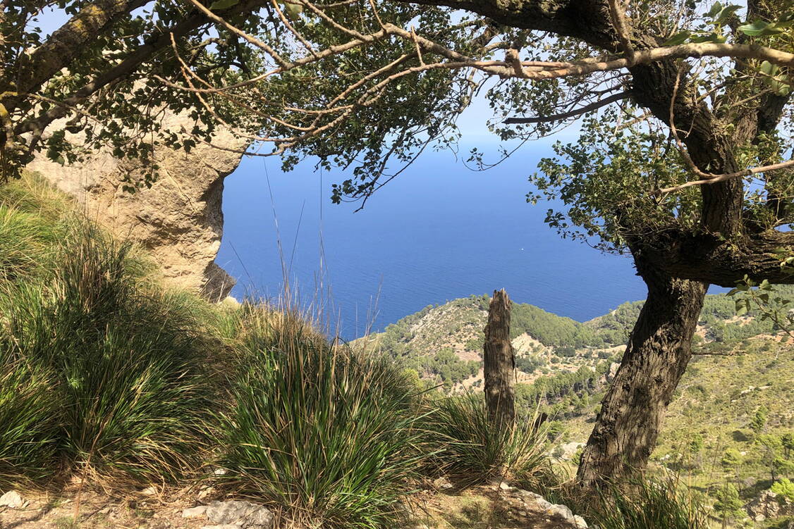 Zoom: Mallorca Wanderreise es esclpes