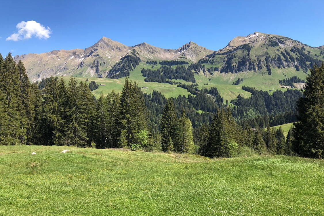 Zoom: Panorama Weitwanderung Habkern 2