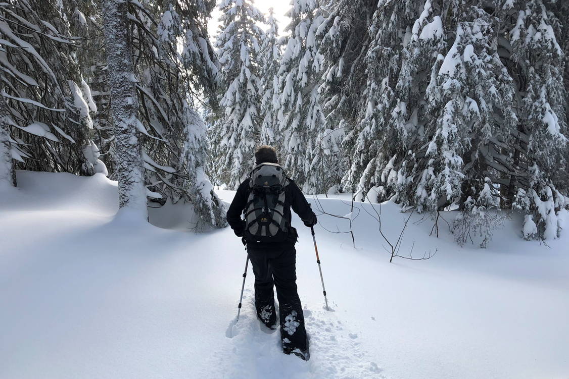 Zoom: Schneeschuhtouren Jura Haute Route II