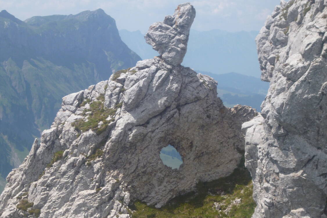 Zoom: Wilde Kräuter im wildern Emmental - Kurioser Felsen auf dem Schibeguetsch