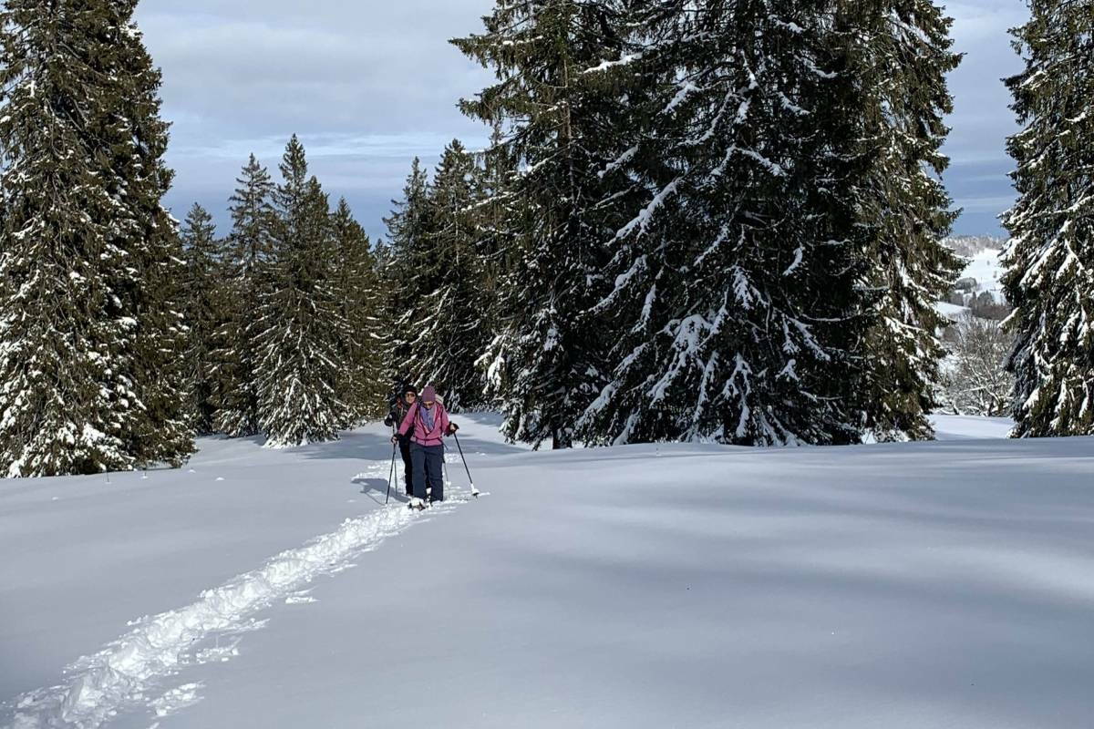 Schneeschuhtouren Haute Route Jura I