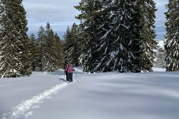 Schneeschuhtouren Haute Route Jura I