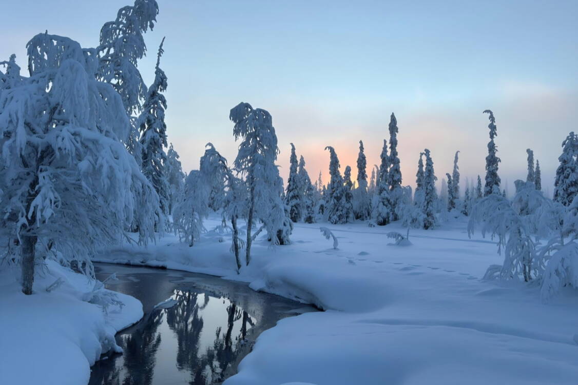 Zoom: Schneeschuhtouren Finnisch Lappland 2026 mystische Abendstimmung