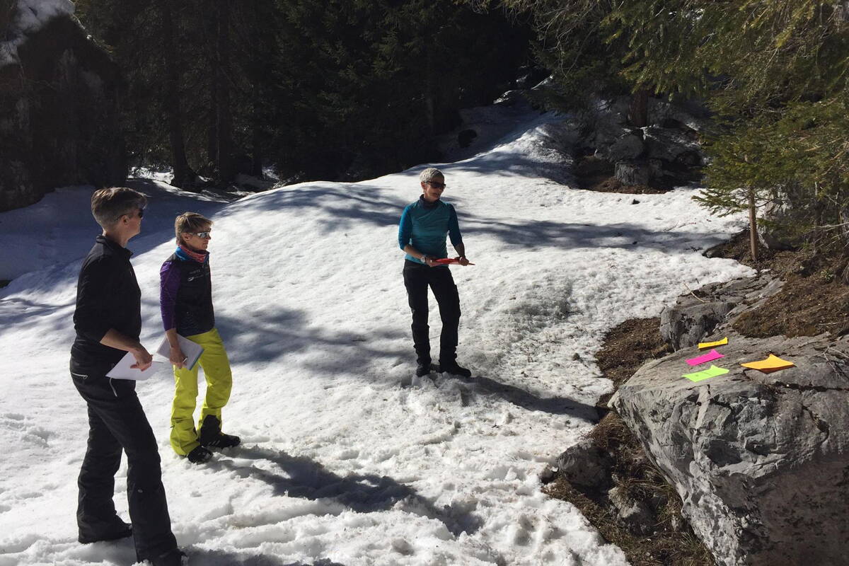 Büro-Team von berg-welt auf Schneeschuhen im Diemtigtal